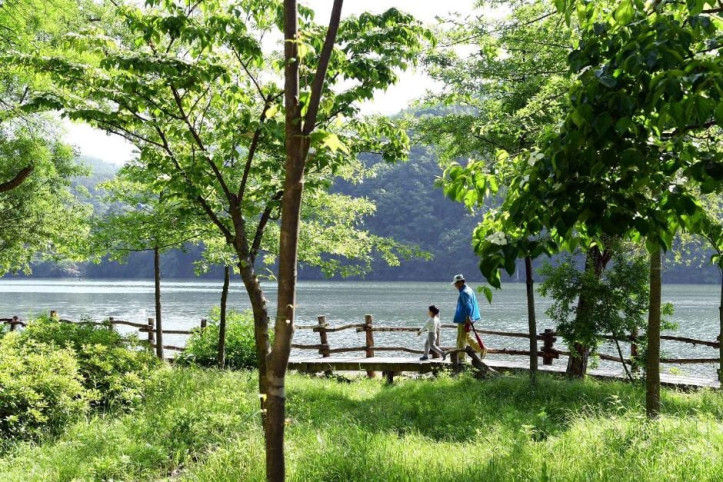 남이섬 여행 추천 - 메고지고