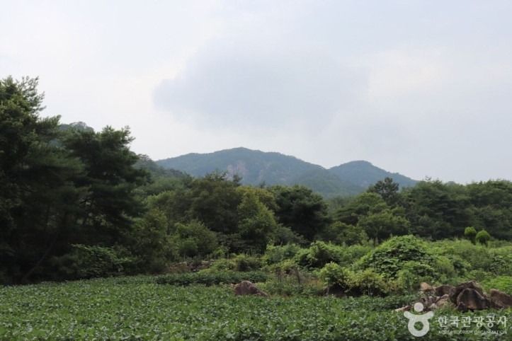 악휘봉 여행 추천 - 메고지고