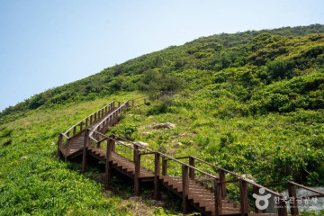 손죽도 여행 추천 - 메고지고