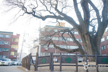 석남체육공원 여행 추천 - 메고지고