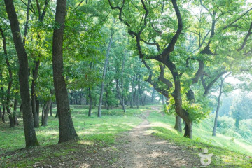 경주 인왕동 사지 여행 추천 - 메고지고