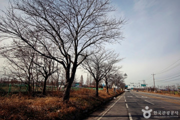 저산서원(김제) 여행 추천 - 메고지고