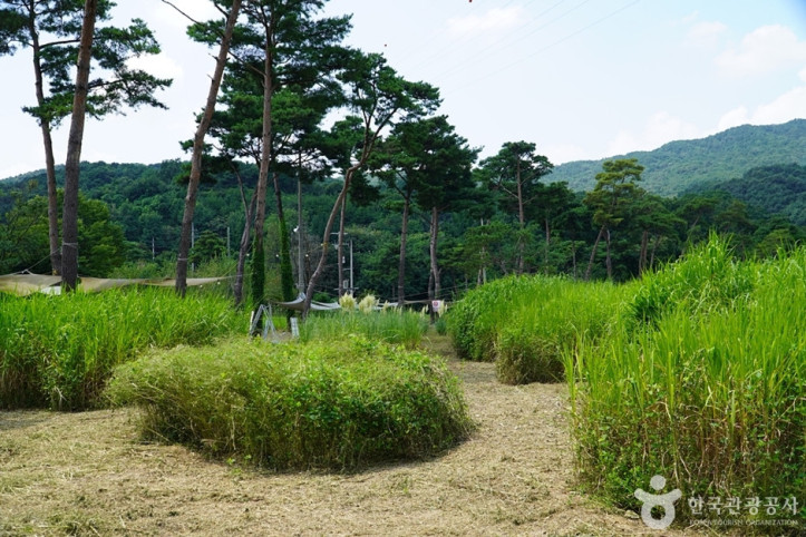 밤섬유원지 여행 추천 - 메고지고
