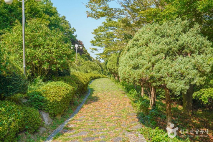숲쟁이공원 여행 추천 - 메고지고