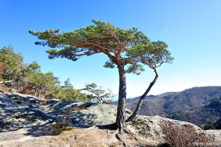 괘병산(정선) 여행 추천 - 메고지고