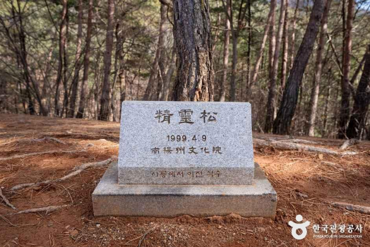 영월 장릉(단종) [유네스코 세계유산] 여행 추천 - 메고지고