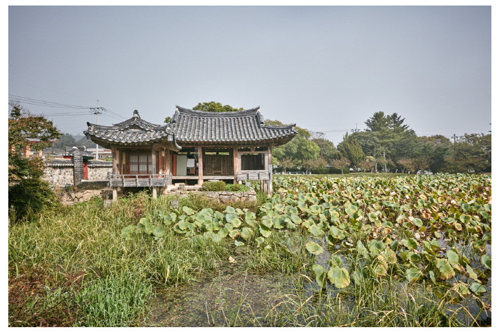 경주 서출지 여행 추천 - 메고지고