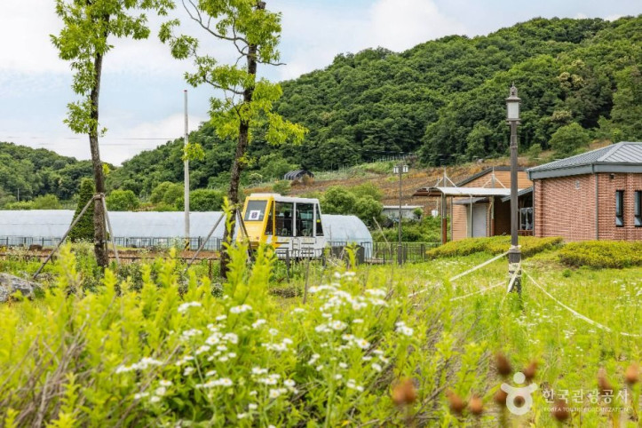 소이산 여행 추천 - 메고지고
