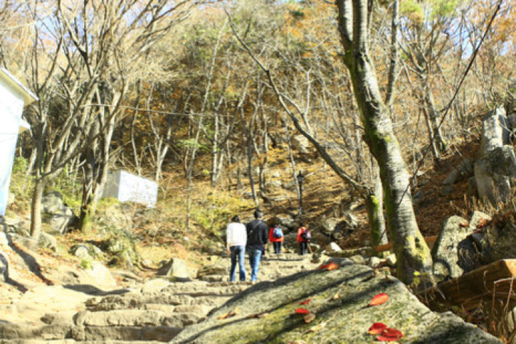 팔공산국립공원(군위군) 여행 추천 - 메고지고