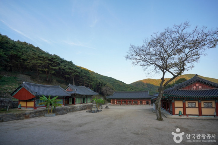의림사 삼층석탑 여행 추천 - 메고지고