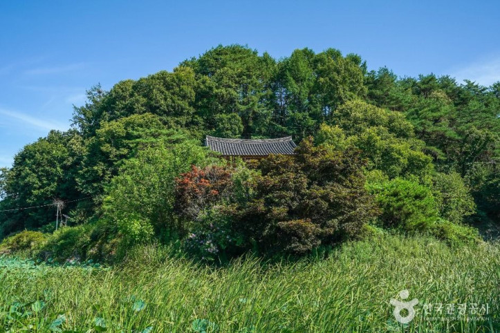 예천권씨 병암정 및 별묘 여행 추천 - 메고지고