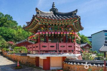 봉이땅엔 여행 추천 - 메고지고