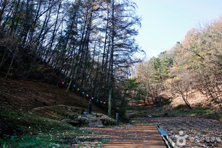 충주 강천리 석조여래입상 여행 추천 - 메고지고