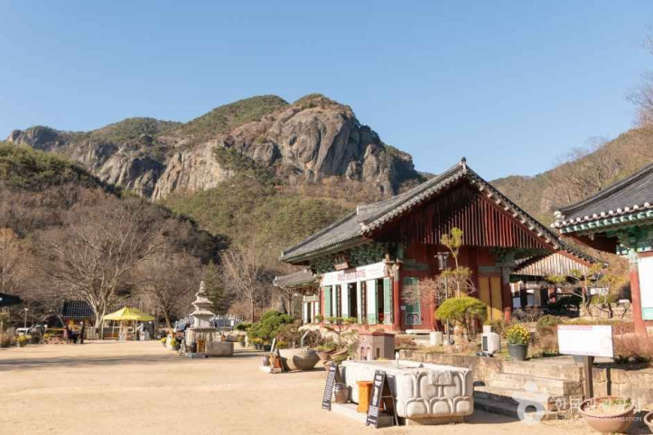 대전사 여행 추천 - 메고지고