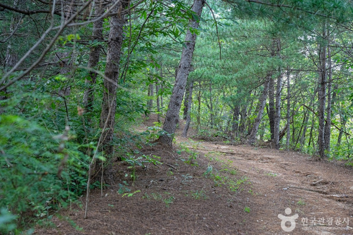 불곡산 여행 추천 - 메고지고
