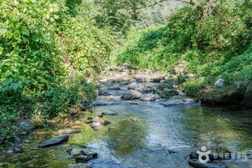 퇴촌 맛다냐 딸기 체험농장 여행 추천 - 메고지고