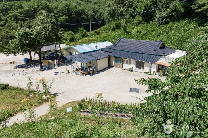 천성사 여행 추천 - 메고지고
