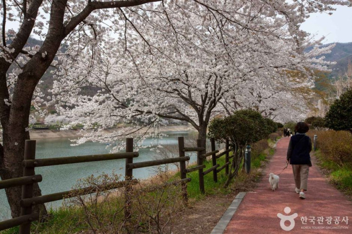 동구리호수공원 여행 추천 - 메고지고