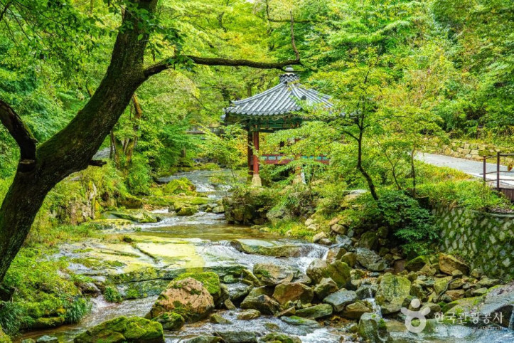 동학사(공주) 여행 추천 - 메고지고