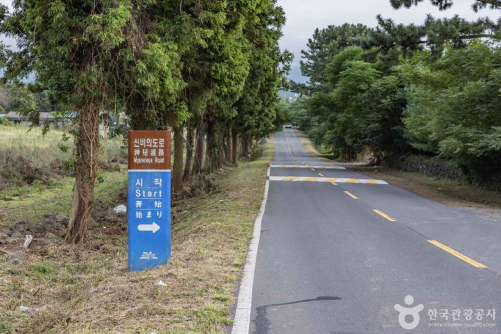 신비의도로 여행 추천 - 메고지고