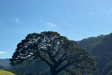 상정바위산 여행 추천 - 메고지고
