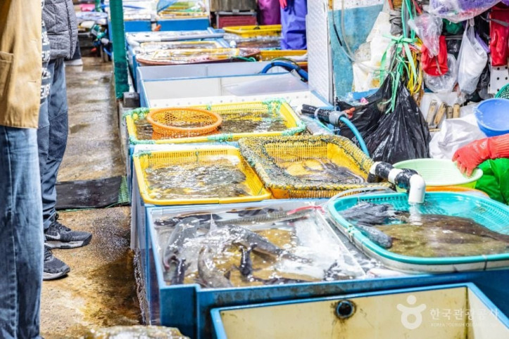 다대포항 여행 추천 - 메고지고