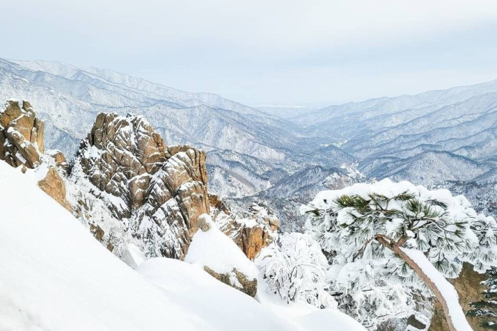 설악산 흘림골 여행 추천 - 메고지고