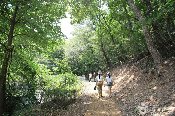 영농조합 장촌마을 여행 추천 - 메고지고