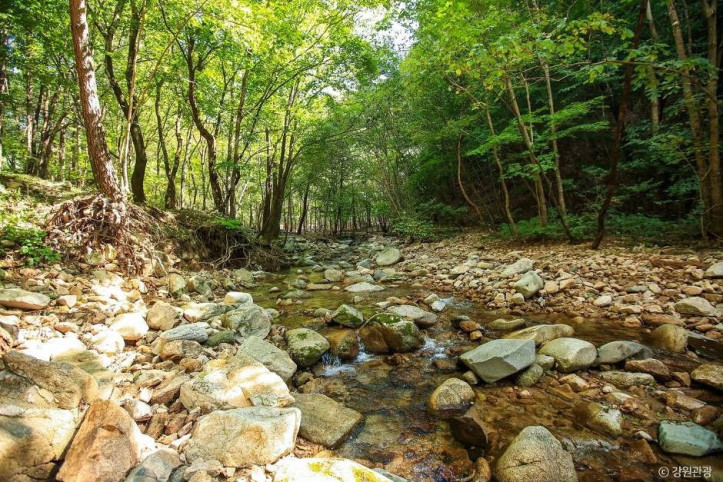 미약골 여행 추천 - 메고지고