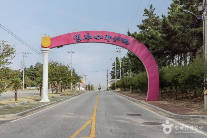 임자도 여행 추천 - 메고지고