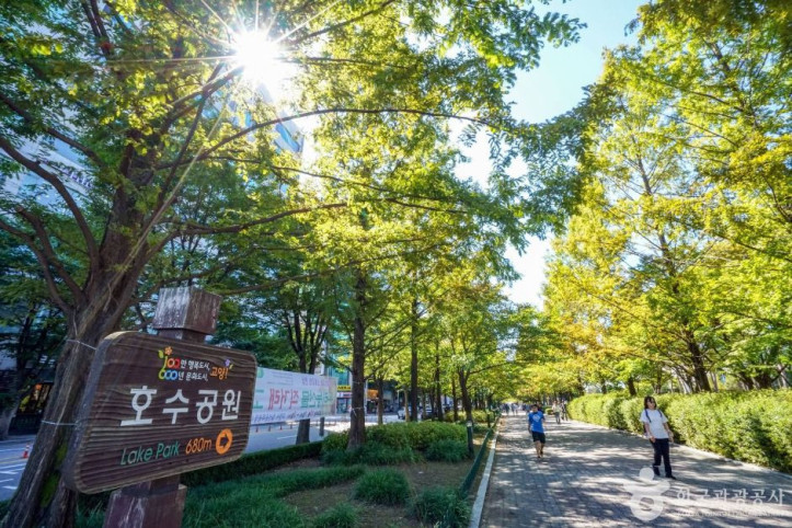 고양관광특구 여행 추천 - 메고지고