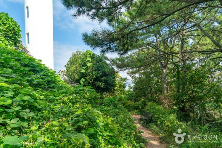 백야도 등대 여행 추천 - 메고지고
