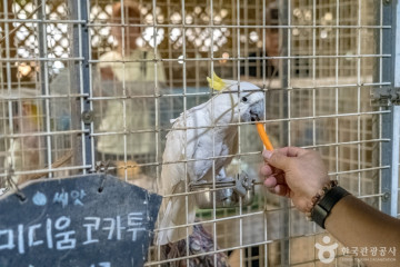 강남축구공원 여행 추천 - 메고지고