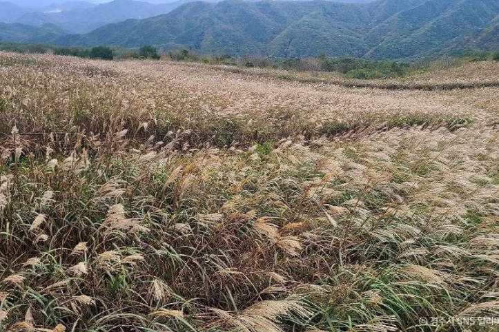 무장산 여행 추천 - 메고지고
