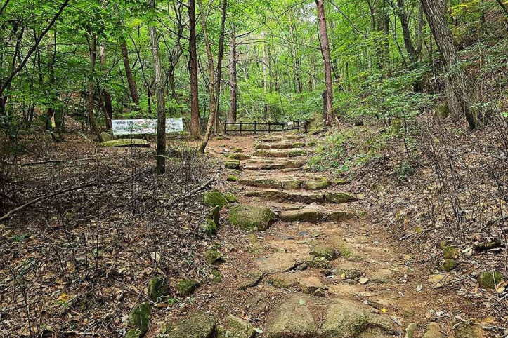 속리산국립공원(충북) 여행 추천 - 메고지고