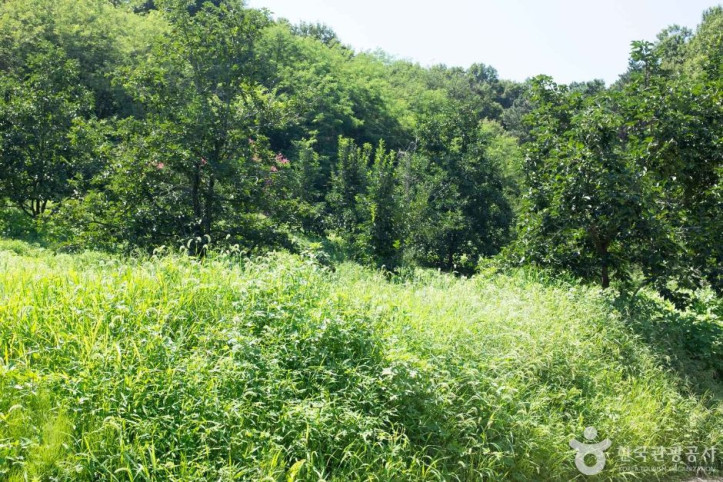 상주 금흔리 이부곡 토성 여행 추천 - 메고지고