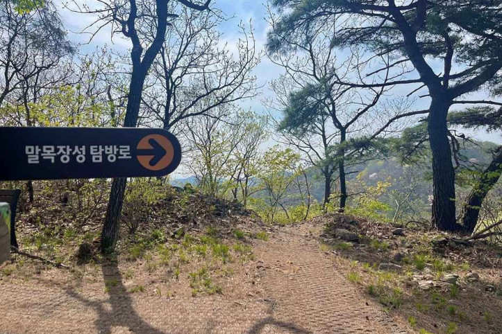 구룡포 말목장성탐방로 여행 추천 - 메고지고