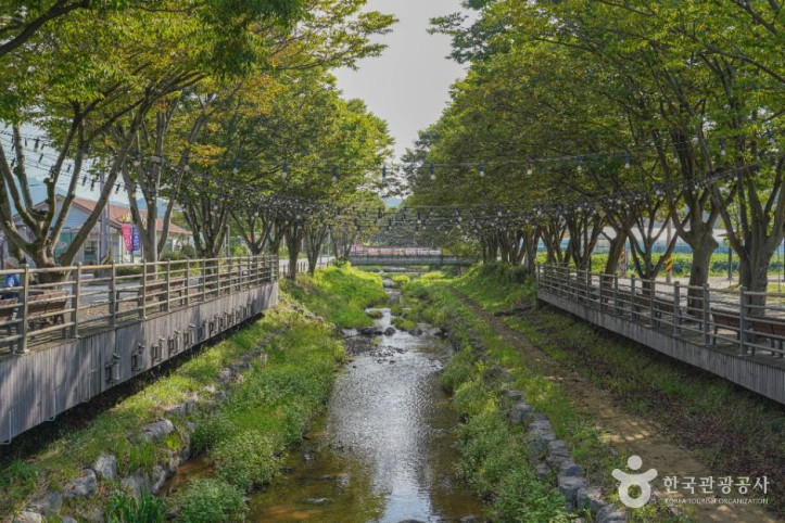 임실 치즈마을 여행 추천 - 메고지고