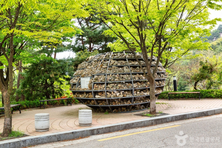 윤동주시인의언덕 여행 추천 - 메고지고