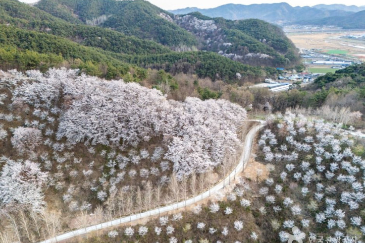 대가야수목원 여행 추천 - 메고지고