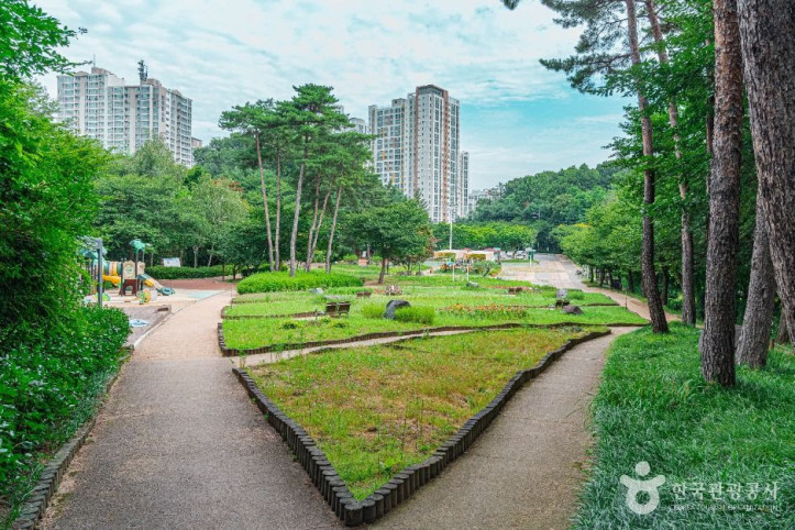 직동 근린공원 여행 추천 - 메고지고