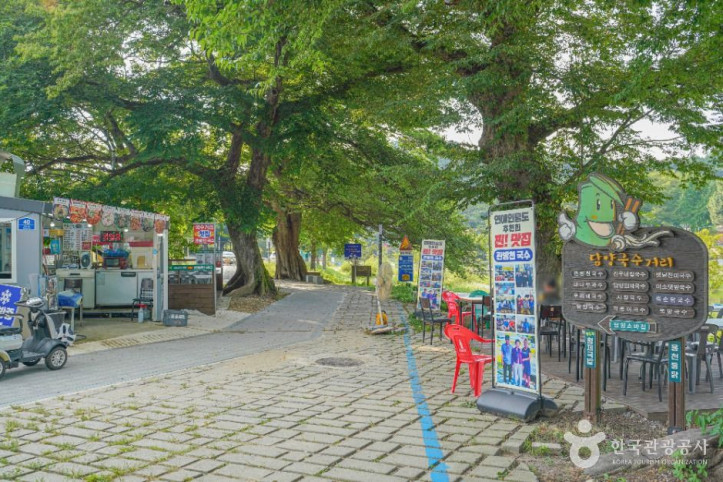 담양국수거리 여행 추천 - 메고지고