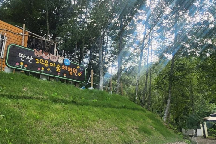 딴산 여행 추천 - 메고지고