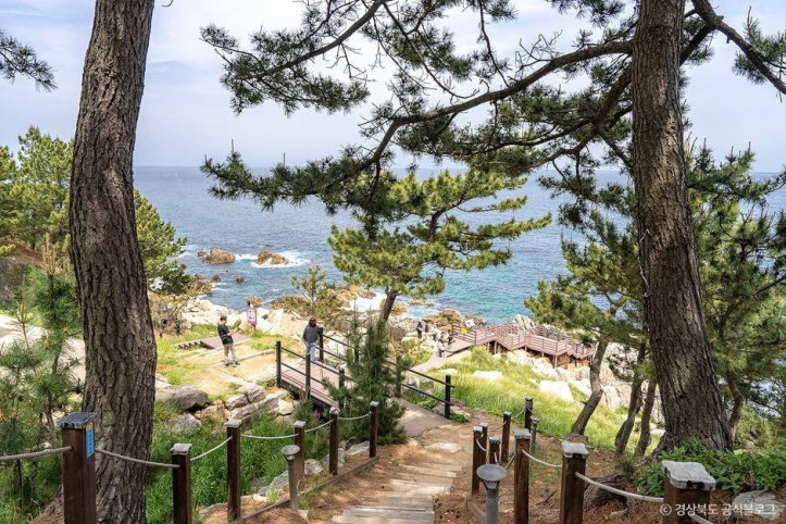영덕해맞이공원 여행 추천 - 메고지고