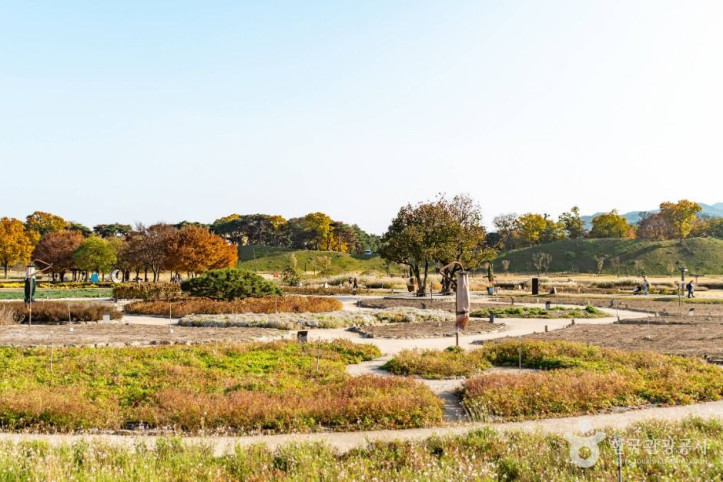 경주 동부 사적지대 여행 추천 - 메고지고