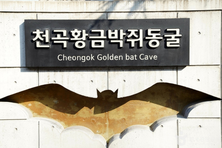 천곡천연동굴 자연학습체험공원 여행 추천 - 메고지고
