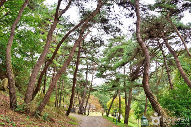 진천 배티 성지 여행 추천 - 메고지고