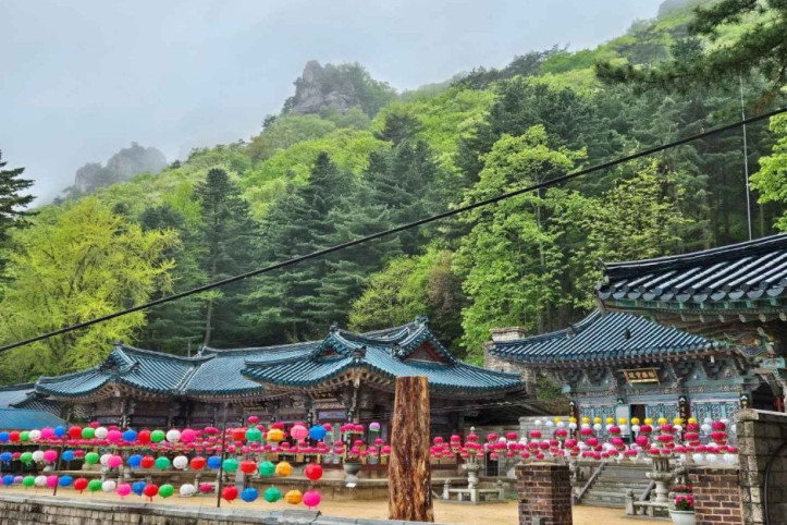 태고사 여행 추천 - 메고지고