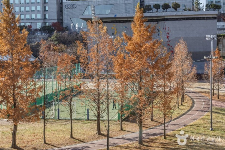 대치유수지체육공원 여행 추천 - 메고지고