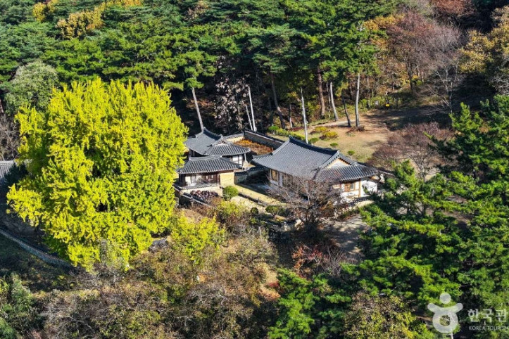 금시당 여행 추천 - 메고지고